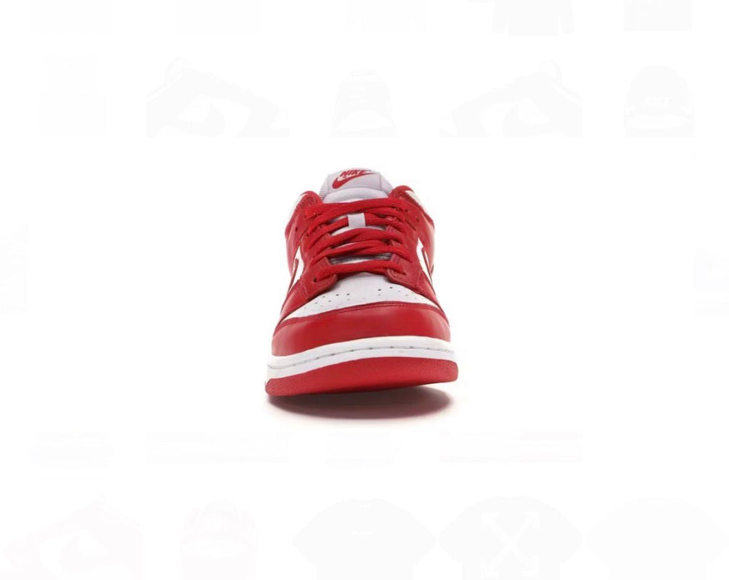 Nike Dunk Low Retro