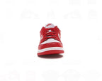 Nike Dunk Low Retro